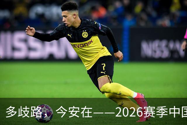 多歧路，今安在——2026赛季中国女排表现观感之四